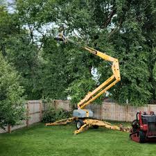 Lawn Irrigation Installation and Maintenance in Lakeview, CA