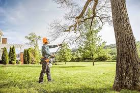 Best Tree Mulching  in Lakeview, CA